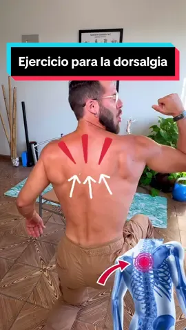 Si tienes dorsalgia o dolor de espalda alta, este estiramiento te va a resultar fabuloso. Trato de realizarlo todos los días antes de comenzar con tu rutina de ejercicios matutina. gracias a este movimiento conseguirás liberar la posible retracción muscular que habita en tu musculatura interescapular. #pablopilatesreal ##dolordeespalda##dolordeespaldaalta##backpain##entrenamiento##entrenamientoencasa##backpainrelief##dolorcronico##ejercicioencasa##yoga