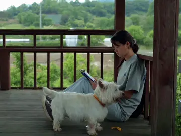 #summerstrike #foryou #fyp 