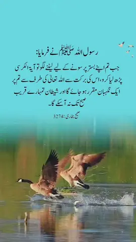 Hadees : #hadees #islamic_video #islamic #foryourpage #fyp #foryou #fypシ #viral 