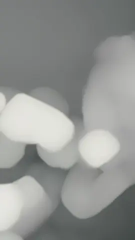 #coach #sahar #امجد_نيروخ 