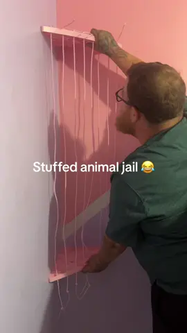 #kidsoftiktok #husbandsoftiktok #storage #hack #storagehacks #stuffedanimals #toys #tiktokshop #fypシ゚viral #trending #viral 