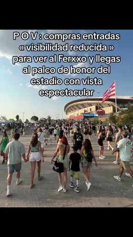 La visibilidad reducida mejor invertida de mi vida 🫶🏼💚🩷 #feid #ferxxo #karolg #ferxxocalipsis #feidmadrid #civitasmetropolitano #visibilidadreducida #friki