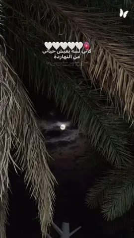 حبيتك قد الحب اللي ف كل العالم🥹🤍🫀،  #foryou #explor #fyp 