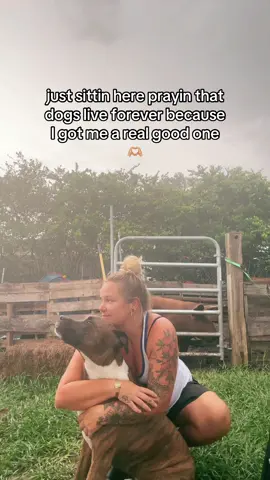 Life wouldn’t be the same without good ol’ dogs 🙌🏼☀️ #souldog #farmdog #gooddogs #realgoodboy #treehound #brindle #birddog #goodoleboy #foryou #fyp 
