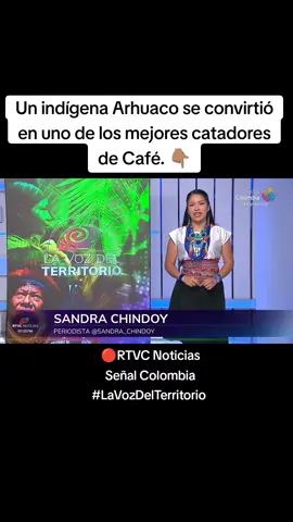 #colombia #noticias #news #tiktokindia #cafe #catador #sierranevada #indigenas #indigenous #rtvcnoticias #lavozdelterritorio #lavozdelterritorio 