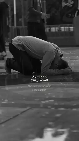 #فدعا_ربه_انى_مغلوب_فانتصر✨ #قران_كريم #قران #صوت_جميل #ياالله_ضاقت_ونآمل_منك_الفرج_القريب #قران_كريم_ارح_سمعك_وقلبك♡ 