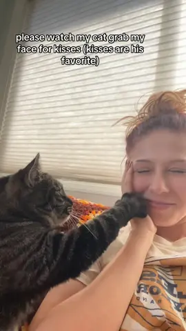 the little licks >> #cat #cats #catsoftiktok 