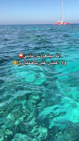 #راجعلي_بحساباتك #تيجي_نسيب #انغام_عشق_لاينتهي #صوت_مصر #angham #اغاني_ترند_2024 #انغام_2024 #تريندات_تيك_توك #تريند_مصر #حالات_واتس #foryou #explore #صيف_2024 #viral #ستوريات 