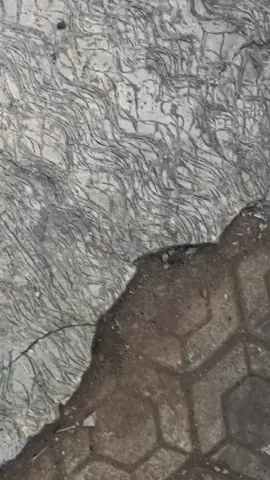 apakah ini awal habis masanya 🙂