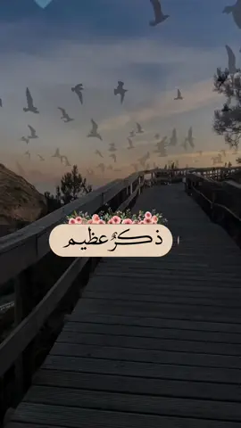 اصبحنا واصبح الملك لله #صباحكم_معطر_بذكر_الله #صباح_الخير #صباحكم_أحلى_صباح#الحمدلله_دائماً_وابداً #تصاميم_rihanna_3355 #اكسبلور #استغفر_الله #الحمدلله_دائماً_وابداً #صباح #اذكار_الصباح #دعاء_يريح_القلوب #ذكر #بدر_المشاري #fyp #foryou #explore #اكتب_شي_توجر_عليه 