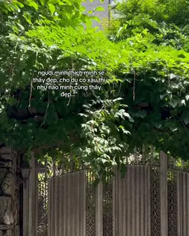 #phamvanminhnhat #tiktok #fyp 