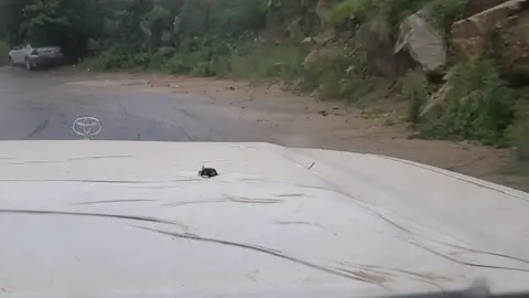 امطار اليمن# #هاشتاق  رازح #🥰🥰🥰🥰❤️❤️❤️  النظير#