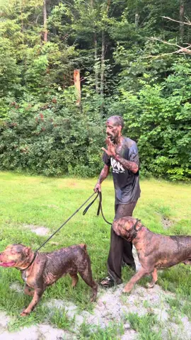 Some days are better then other…dont ask 🤬🥴😂 #fyp #foryou #dogsoftiktok #funny #dogtrainer