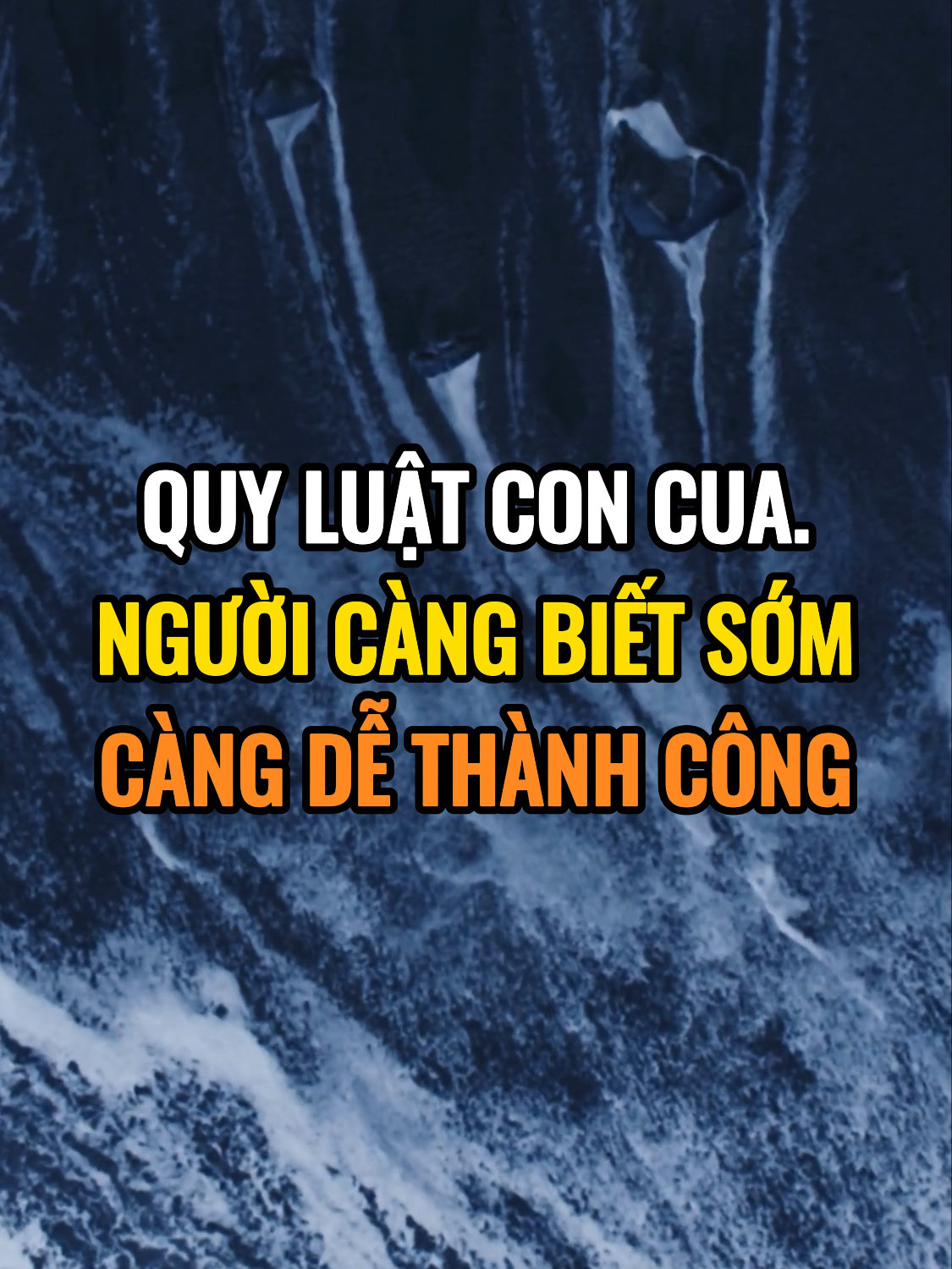 Quy luật con cua. Người càng biết sớm càng dễ thành công. #caunoihay #baihoccuocsong #trietlycuocsong #nguyenvanhuan #nguyenvanhuanofficial #huanvn #youtubetotalsuccess