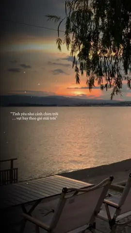 Tình yêu như cánh chim trời vụt bay theo gió mãi trôi..#_ily14th01 #tamtrang #lyrics #demlaoxao #nhachaymoingay 