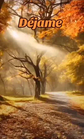 Déjame - Juan Fernando Velasco  #DelRecuerdo #Parati #ConAmor #Lyrics #fypシ゚ 