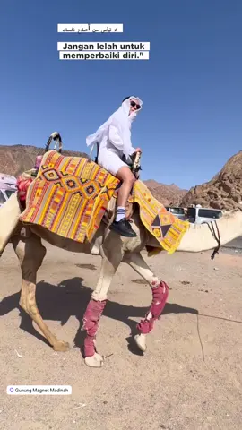 Explore madinah #madinah #madinahalmunawaroh #jabalmagnet #arabsaudi #explore #wisata #arabi #arabsaudi #arabsaudi🇸🇦 