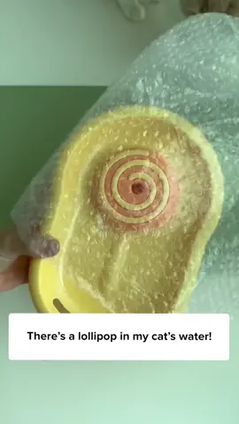 Get this Lollipop Water Dispenser today to get your cat an adorable water fountain! 😻✨