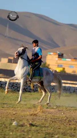 Golden Boy and banu Sultan creating Art in Ghazni Afghanistan  #alkabeer❤️❤️❤️❤️😘bannu @Alkabeer Awan Club Bannu Pk. @Rahman Ullah khan awan 