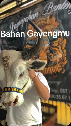 #CapCut  Bahan Gayengmu #kamandakaofficial #pasukannoyolnoyol #narayaaudio #pmberottt🦬 #bakol #bantengbrangwetan #bantengnuswantara #tumpanglalufyp #xbyzca #fyp  pengrajin by @seniman.asor 