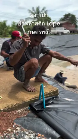 การตอกเป๊กเพื่อยึดพลาสติกกับพื้นดิน #พลาสติกเกษตร #บ่อปลา #พลาสติกปูบ่อ #ปูบ่อพักน้ํา