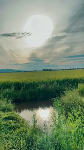 Thử mẫu này#thatgirl #templatecapcut #sunset #song #musicvibes 