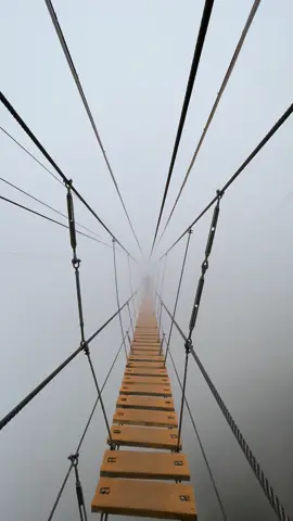 إذا ودك تمشي بين السحاب ❤️☁️ جرب تمشي على هذا الجسر وقت الضباب .. شعور رهيب .. #الباحة #حديقة_الأمير_حسام #غابة_رغدان #اكسبلورexplore 