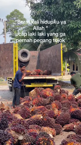 Berat beratttt  #kulisawitindonesia #drivermuda #fyp #pemuatsawit #kulinertiktok #kulisawit 