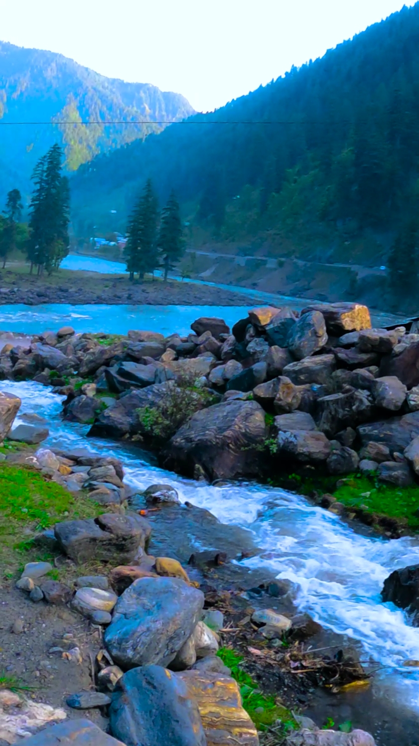 Beautiful Kashmir #neelum #mostviralvideo #nature #kashmirlife #taobuttazadkashmir #mountain #taobuttazadkashmir #