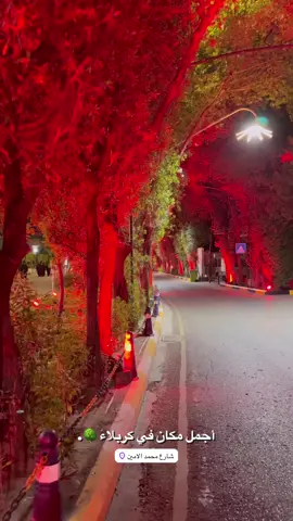 اجمل مكان في كربلاء . شارع محمد الامين 🌳🥹.#كربلاء #شارع_محمد_الامين_كربلاء #تصويري📸 #لايك #صعدو_الفيديو #fypシ 
