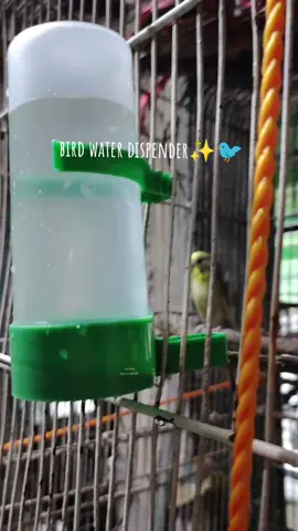 water/food dispender for bird! ✨🐦 #feeder #water #birdwaterdispenser #birdfeeder #parakeet #accessoriesforbird #fyp #foryou 