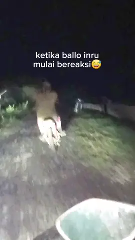 maccolo #fyp #CapCut #kodongpuange #menyalaabangkuh🔥 