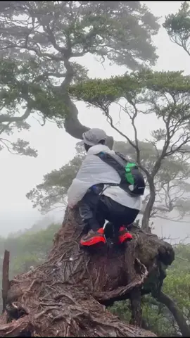 aslinya gemeter poll #pendakiindonesia #pendakigunung #pendakicantik #gunungsalak #salak2 #badai 