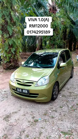 VIVA CUN CUN CINA..MEH PINANG CEPAT.😌#fyp #fypシ 
