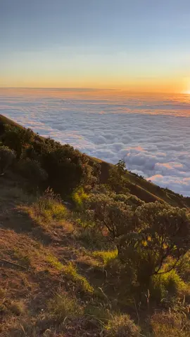 Merbabu dengan lautan awannya🥹 #merbabu #merbabuviasuwanting #pendakigunung 