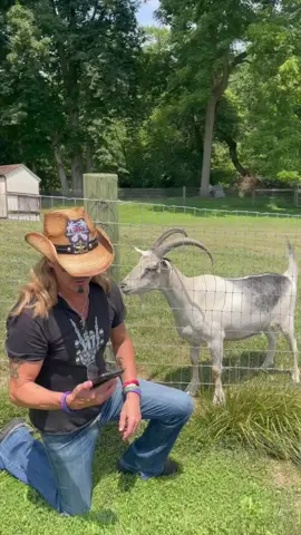 The goat saga continues with the long-awaited reveal of Baby Goat! 🐐🤘