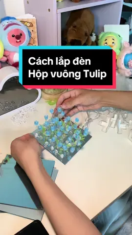 Cách lắp đèn hộp vuông hoa Tulip nhà Mimi nè! Video này sẽ còn tiếp nối chi tiết hơn nhé các bạn ơi ^^ Lãng mạn không khó, đã có Mimi lo! #quatang #tiemhoamimi #xuhuong #fyp #dennguhoatulip 