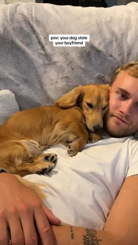 I don’t feel left out at all 🙃#puppy #dachshund #funny 