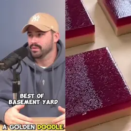 Best Of Basement yard #podcasts #fyp #funnyvideos #foryou #abcxyz #foryoupage #viral #funny #blowthisup #😂😂😂 #asmr 