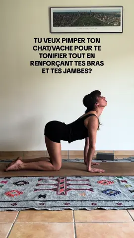 Voici pourquoi tu devrais ajouter cette variante de la posture Chat/Vache à ta routine ↓ J’adore ajouter des exercices différents à mes pratiques et l’avantage du yoga, c’est qu’on peut faire preuve de créativité selon nos envies et besoins du moment. En plus de détendre ton dos et rendre plus souple ta colonne vertébrale, cette variante va te permettre de renforcer tes bras et tes épaules. Un excellent exercice si tu souhaites développer ta force et te préparer à des postures plus avancées sur les bras. Tu vas l’essayer? #yoga #asana #renfo #renforcementmusculaire #bienetre #sante 