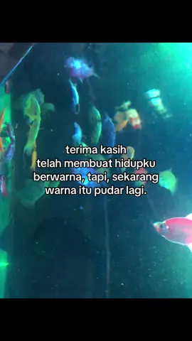 #priagalau_ #galaubrutal #4u #fyp 