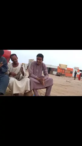 الشعب الصيني ماله الحل🥰