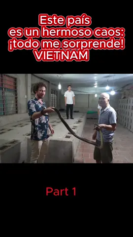 Este país es un hermoso caos: ¡todo me sorprende! | VIETNAM 🇻🇳#luisitocomunica 