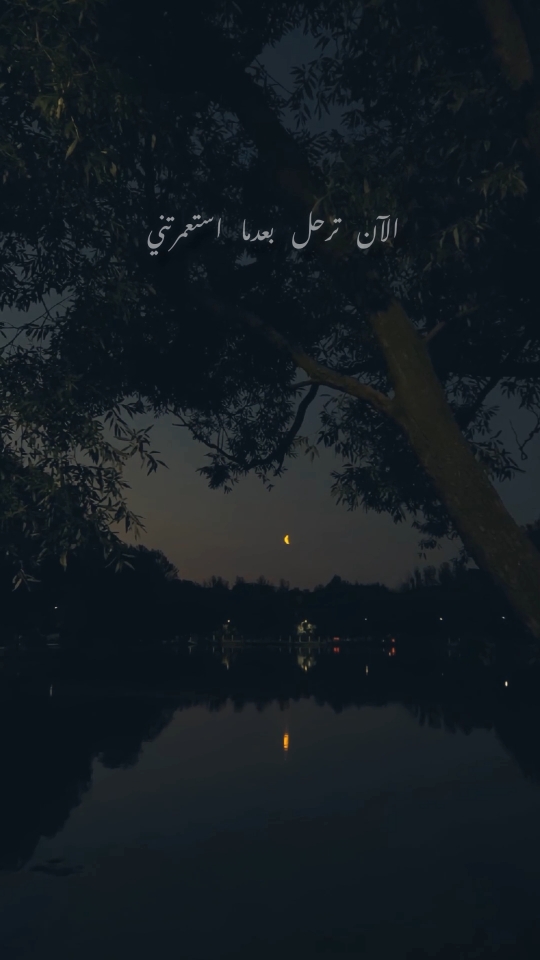 الآن ترحل بعدما استعمرتني وتقول عذرا إنها الأقدار تمضي ونبض القلب فيك معلق وتعي بأن غرامك استعمار لا عذر يقنعني بأنك مجبر في الحب لا تجدي معي الأعذار دارت بنا الدنيا وأنت خذلتني وغدا بها تتبدل الأدوار . . . #ولاء_الجندي #الأن_ترحل 2024 #دارين_شبير #محمود_عيد #اليكساندر_ميساكيان #الان_ترحل  #ولاء_الجندي_الان_ترحل #اغاني #تصاميم_اغاني #اغاني_فصحى  #الان_ترحل_بعد_ما_استعمرتني 