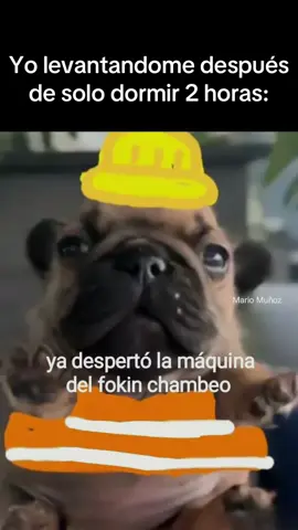 La maquina del fokin chambeo🦭 #fyp #viral #chamba #chambeador #perrosgraciosos #memes #parati #identificarse #comparte #frases #humor 