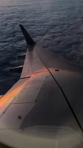 #britishairways #airbusa320neo #approach #wingviews #britishairways #wingviewlover #wingview✈️ #airbus #airbuslovers #cloud #cloudy #sunset #sunsetlover #sonnenuntergang #sonnensufgang #aviationlovers #avistionlife #avgeeksassemble #aviationtiktok #summervibes #holidaycountdown #HolidayBeat #frequentflyer #frequenciavibracional 