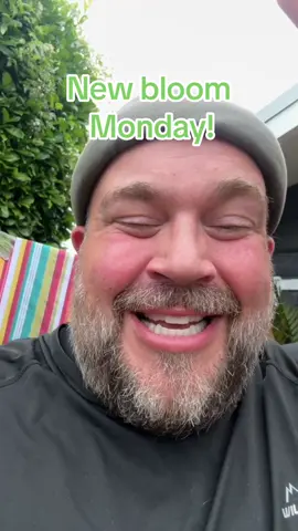 Bloomin monday #newblooms #garden #PlantTok #darcyandjer 