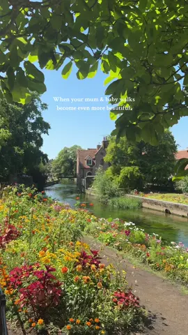 One of most beautiful local places for a mum & baby walk ↓ 📍Westgate Gardens  Feeling so blessed to have this as our local city. 🌸  #mumandbaby #beautifulengland #beautifuldesinations #visitkent #kentuk #canterbury 