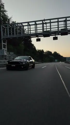 #mustang #gt500 #car #switzerland #tuning #shelbycobra #2013 #sunny #cartiktok #😈 #rollingshot #s197 #friends