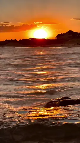 #لو_بتحب_حقيقي_صحيح #🤍🥺❤💖🦋👌👌 #هاني_شاكر 